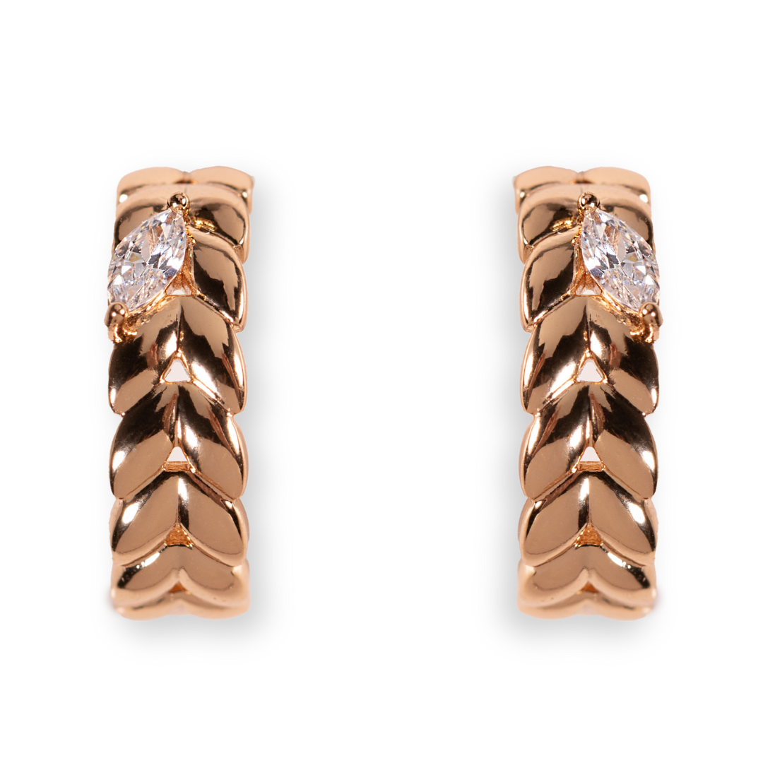 Elegant crystal hoop earrings