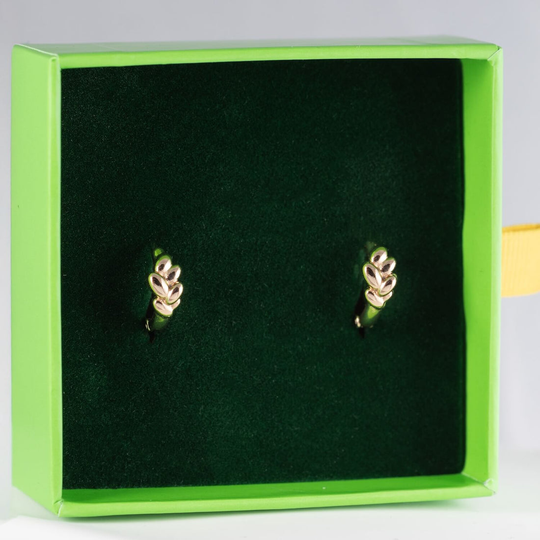 Antialerģiski riņķīšu auskari 'SIGITA'