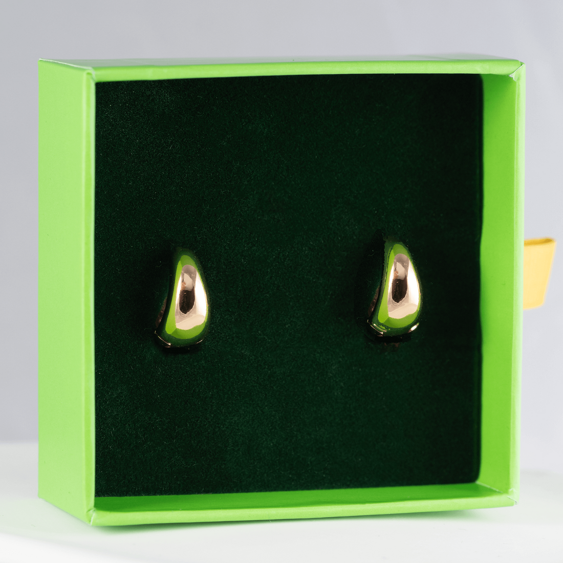 Antialerģiski riņķīšu auskari 'ANITA'