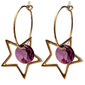Ikdienas riņķīšu auskari ar kristāliem un zvaigznītēm amethyst